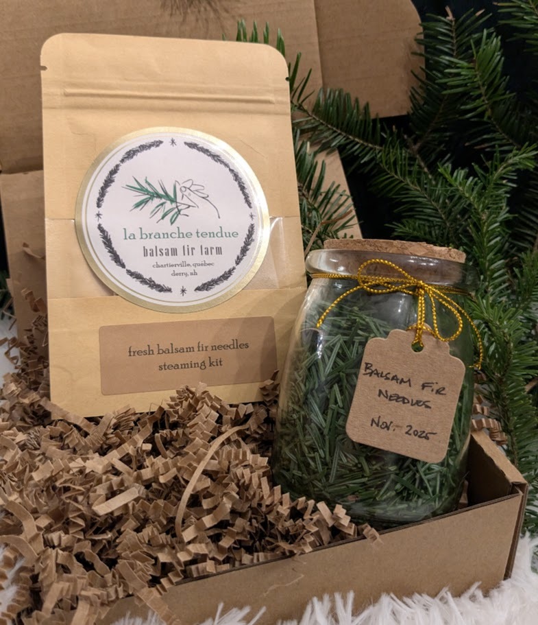 Balsam Fir Steaming Kit